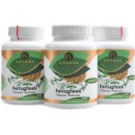 Golden Nature Fenugreek Pískavice řecké seno 300 kapslí . – Hledejceny.cz