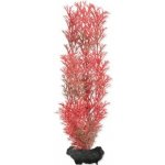 Tetra Myriophyllum heterophyllum - Red Foxtail 23 cm – Zboží Mobilmania