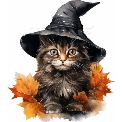 Nažehlovačka Kočka s kouzelným kloboukem - 6 x 5 cm – Zboží Mobilmania