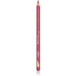 L’Oréal Paris Color Riche konturovací tužka na rty 302 Bois De Rose 1,2 g – Zboží Mobilmania