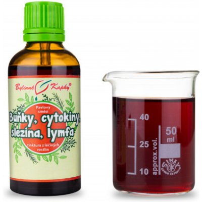Bylinné kapky Pavlovy bylinné kapky Buňky cytokiny slezina lymfa Netopýr 3 tinktura 50 ml – Hledejceny.cz