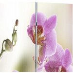 ZBXL Skládací paraván 120 x 170 cm květina – Zboží Dáma