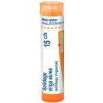 SOLIDAGO VIRGA AUREA POR 15CH GRA 4G – Hledejceny.cz