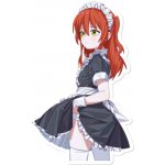 Bocchi the Rock Samolepka Cleaning Kita – Zboží Živě