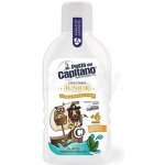 Pasta del Capitano Junior dětská 400 ml – Zboží Mobilmania