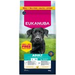 Eukanuba Active Adult Large Breeds Chicken 18 kg – Hledejceny.cz