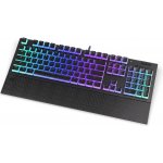 Endorfy Omnis Pud Kailh RD RGB EY5A033 – Zboží Živě