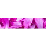 Dimex KI260-055 Samolepící fototapeta do kuchyně Violet Petals rozměry 260 x 60 cm – Sleviste.cz