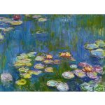 BlueBird Claude Monet Lekníny 3000 dílků – Hledejceny.cz