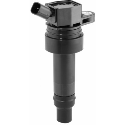 Zapalovací cívka BorgWarner (BERU) ZS625 – Hledejceny.cz