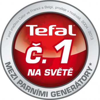 Tefal GV 8976