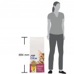 Cat Chow Adult Special Care Urinary Tract Health 2 x 15 kg – Hledejceny.cz