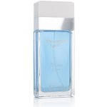 Dolce & Gabbana Light Blue Italian Love toaletní voda dámská 100 ml – Hledejceny.cz