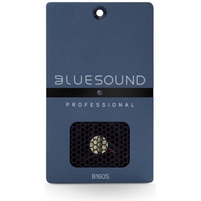 Bluesound Professional B160S