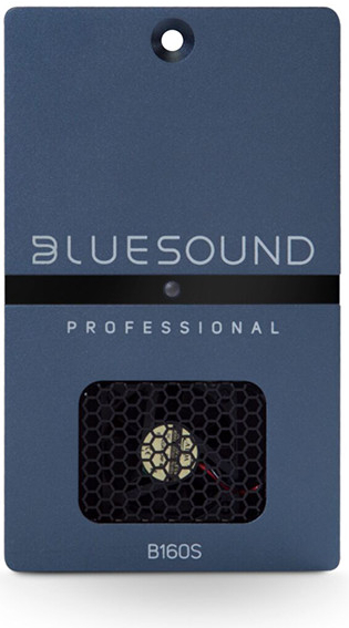 Bluesound Professional B160S