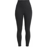 ICEBREAKER Wmns Merino Speed Winter Tights Black – Zboží Mobilmania