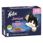 Felix Fantastic Junior s hovězím kuřetem sardinami a lososem v želé 12 x 85 g – Sleviste.cz