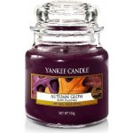 Yankee Candle Autumn Glow 104 g – Hledejceny.cz