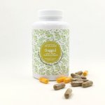 Ondřej Ullrich Guggul Aloe šalvěj kurkumin 180 tablet – Hledejceny.cz