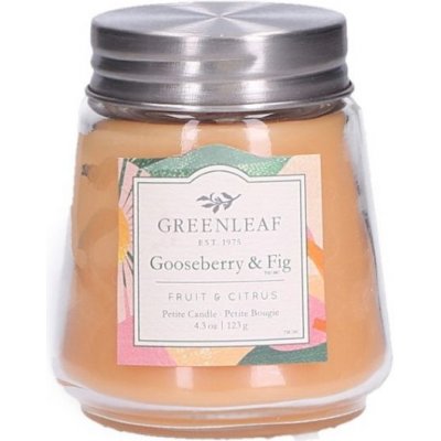 Greenleaf Brambleberry Petite Candle