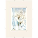 Falc Clip rám 50x70cm – Hledejceny.cz