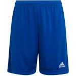 adidas ENTRADA 26 vel. XL modré – Sleviste.cz