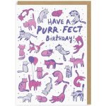 Ohh Deer Přání k narozeninám Purrfect Birthday, růžová barva, fialová barva, papír – Zbozi.Blesk.cz