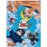 Cinereplicas Adventní kalendář 2025, Naruto – Hledejceny.cz