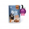 Brit cat Premium Fillets in Gravy Turkey 85 g