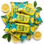Lifefood Lifebar Oat Snack Protein BIO 13 x 40 g – Hledejceny.cz