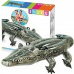 Intex 57551 – Hledejceny.cz