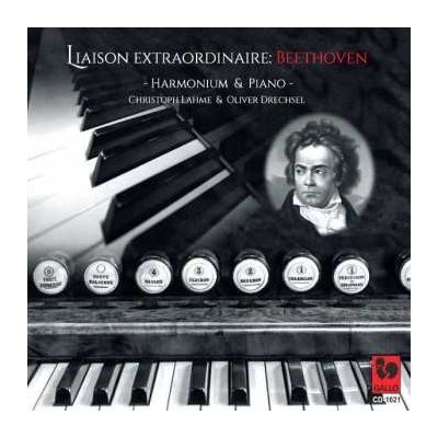 Various - Oliver Drechsel & Christoph Lahme Liaison Extraordinaire Beethoven CD