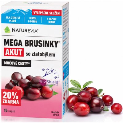 Swiss NatureVia Mega brusinky Akut 15 kapslí – Hledejceny.cz