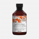 Davines Naturaltech Energizing Shampoo 250 ml