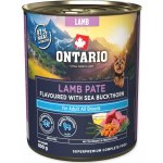 Ontario Adult jehněčí pate s příchutí rakytníku 800 g – Hledejceny.cz