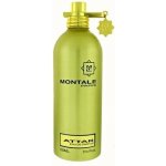 Montale Attar parfémovaná voda unisex 100 ml – Hledejceny.cz