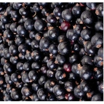 NEGOCIO Rybíz černý mražený za 1kg (1bal 10 kg ) 1bal v kartonu – Zboží Dáma