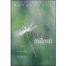 Adyshanti: Pád do milosti Kniha