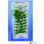 Tetra Ambulia 15 cm – Hledejceny.cz