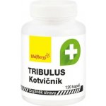 Wolfberry Tribulus terrestris kotvičník zemní 120 kapslí – Hledejceny.cz