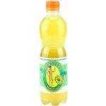 Stevikom kombucha měsíček 0,5 l – Zboží Dáma