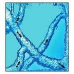 Mravenčí akvárium Ant Quarium Domácí mraveniště Blue – Zboží Dáma