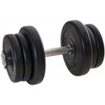 FitnessLine Jednoruční nakládací činka kotouče s cementovou náplní 12,5 kg – Sleviste.cz