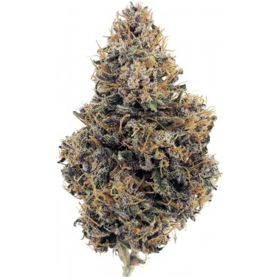 Medusa Hempire CBD Květy Purple Psyche 0,4% THC 5 g – Zbozi.Blesk.cz