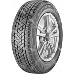 GT Radial WinterPro 2 evo 195/65 R15 91T