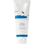 ROUND LAB Birch Juice Moisturizing Cleanser 150 ml – Hledejceny.cz