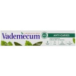 Vademecum Anti-Caries Mint&Sage 75 ml – Hledejceny.cz