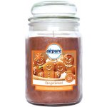 Airpure Gingerbread 510 g – Zboží Dáma