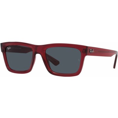 Ray-Ban Warren RB 4396 667987