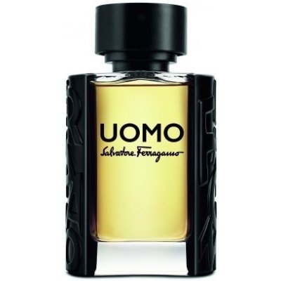 Salvatore Ferragamo Uomo toaletní voda toaletní voda pánská 100 ml